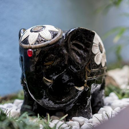 Vila Azzurro Elefante Kjóto Exteriér fotografie